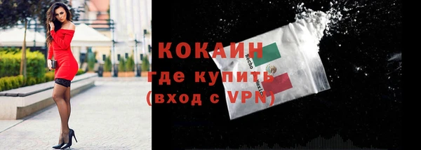 mdpv Заводоуковск