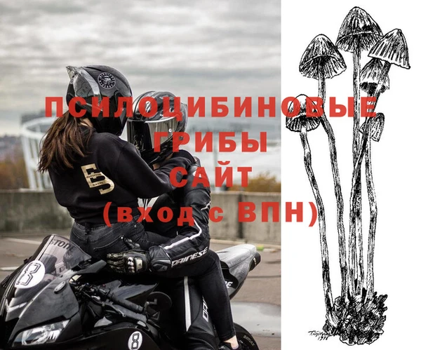 apvp Заволжск