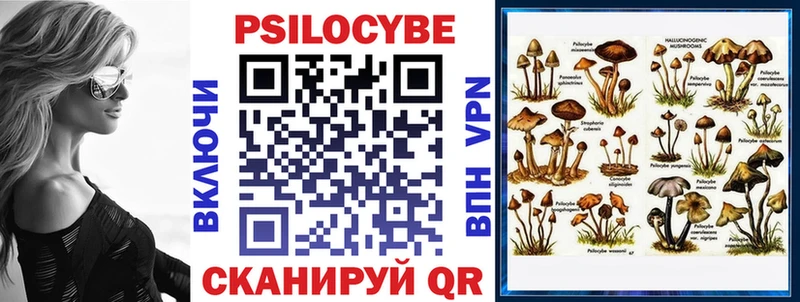 Купить где  Поворино  Псилоцибиновые грибы мицелий 